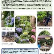 chiiki_page-0001